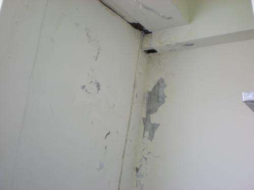 惠州防水補漏，防水涂刷