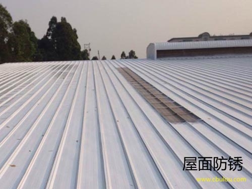金屬屋面防腐防銹，惠州防腐防銹公司，惠州防水補漏公司 www.zzmarry.cn
